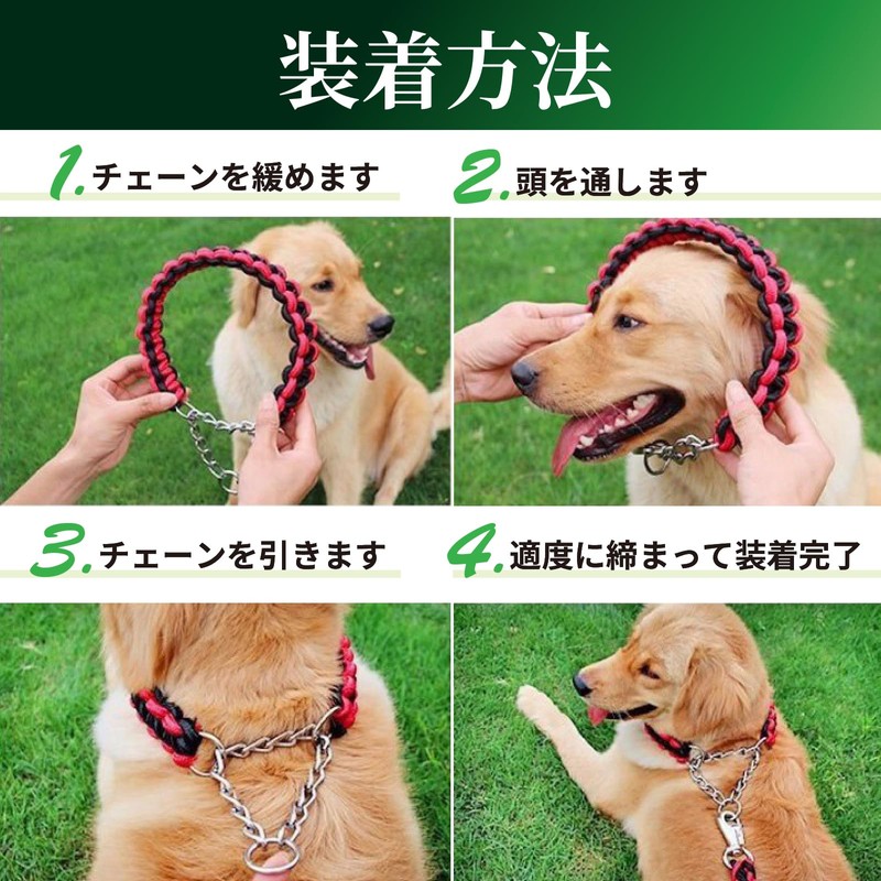 Avidora Dog Leash Collar Set Half Chalk Chain Paracord Nylon