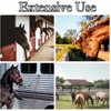 4 Pcs Tie Rings for Horses, Hay Nets for Horses,