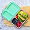 EcoCocoon Bento Lunch Boxes - 2 Compartment, Blueberry