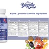 Liposomal Luteolin Capsules 500 mg, Maximum Absorption, High Dose Flavonoid,