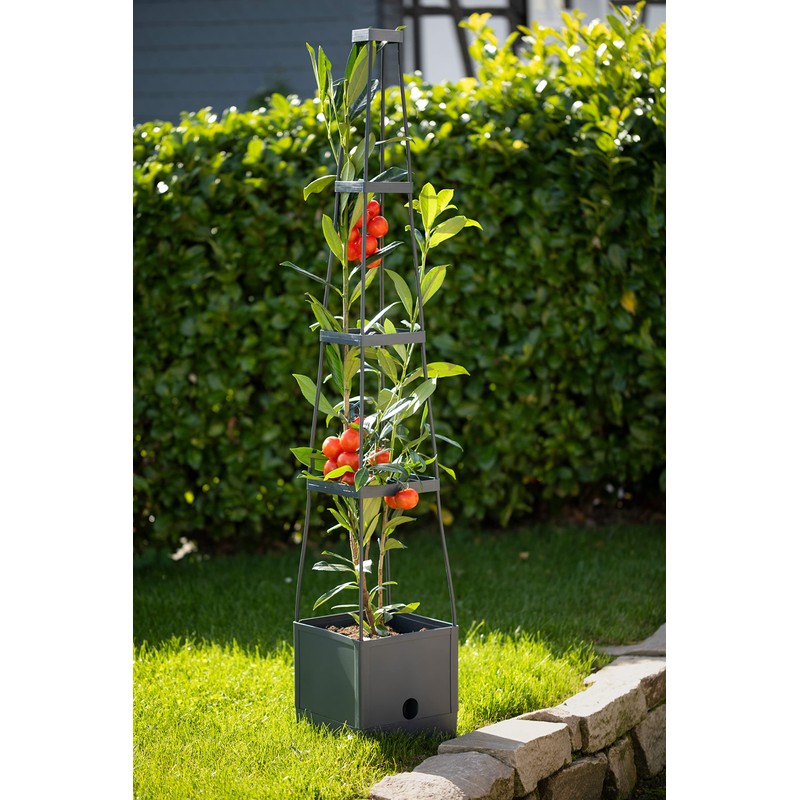 Meister Plant Tower 150 x 25 x 25 cm -