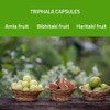 Triphala Capsules - Rich in Vitamin C & Antioxidants |