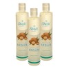 Shampoo De Argan Shelo Nabel® 530ml. 3 Piezas