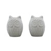Retro Style Owl Shape Salt & Pepper Shaker Set Kitchen