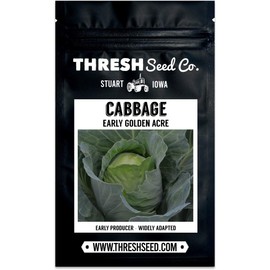 Early Golden Acre Cabbage - 100 Seeds