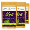 Tulsi Tea Sacred Holy Basil Tea , Sleepy Relax Herbal