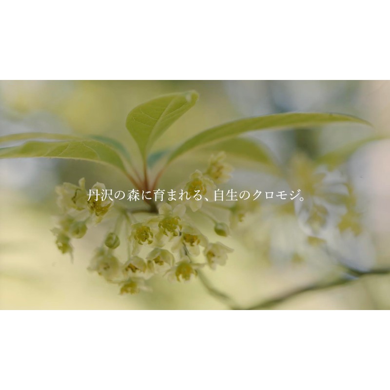 Tanzawa MON Kuromoji Aroma Water, 3.4 fl oz (100 ml),