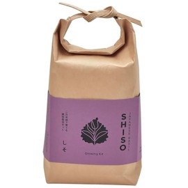 Seishin Pottery TSUTSUMI GD-99601 All-Year, Easy Cultivation Kit, Perilla, Vegetables, Cultivation Set (Free Research / Food Education), Pot Approx. 3.1 x 1.6 inches (8 x 4 cm)