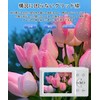 YULINJIA Digital Camera, 5K Digital Camera, Sending to Smartphones, WiFi