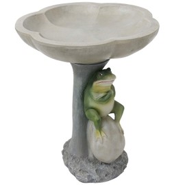 Sunnydaze Brooding Frog on a Stone 22" H Polyresin Outdoor Bird Bath for Garden