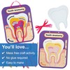 Baker Ross FN440 Human Tooth Anatomy Kits - Pack of