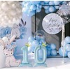 JEYE Baby Blue 10 Number Balloons 40 Inch Big Giant
