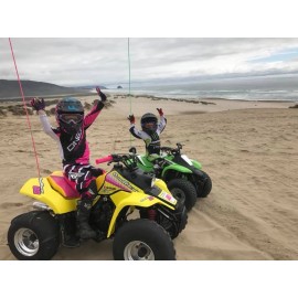 Factory EFX Pink Yel LT80 Quadracer Graphics Lt 80 Decals Stickers Quad Atv Quadsport girl