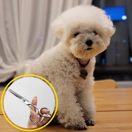 Stainless steel thinning scissors Professional beauty thinning scissors Durable home salon / 스텐레스 틴닝 가위 전문가용 미용 숱치기 가위 내구성 좋은 홈살롱