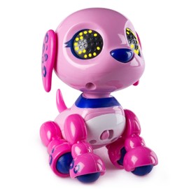 Zoomer 6033742 " Zupps“ Spielset, farblich sortiert