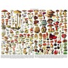 New York Puzzle Company - Vintage Images Mushrooms ~ Champignons