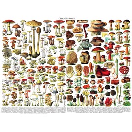 New York Puzzle Company - Vintage Images Mushrooms ~ Champignons - 1000 Random Cut Jigsaw Puzzle for Adults by Adolphe Philip Millot