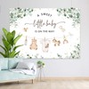 Joliaco Clothes Baby Shower Backdrop Green Eucalyptus Baby Shower Background