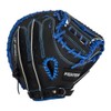 Nippon Ham Fighters x GP Baseball Catcher Mitt, Adult Soft,