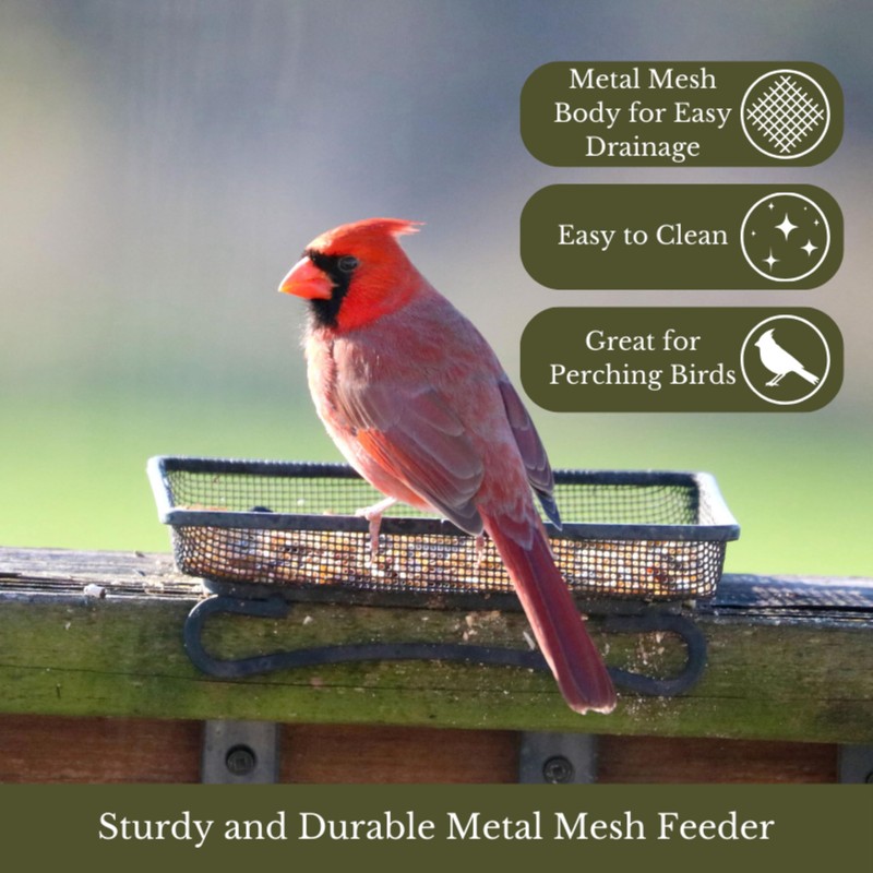 Backyard Essentials Wildlife and Bird Feeder, Deck and Ground Tray