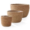 Casafield Set of 3 Seagrass Planter Baskets with Liners -