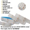 Quad Row LED Strip Lights - 24VDC 3528SMD 146LEDs/Ft High