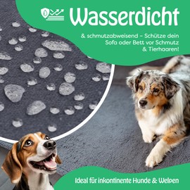 petpurry® Waterproof Dog Blanket, 73 x 101 cm, M/Grey, Fluffy Dog Blanket, Sofa, Versatile and Durable Blanket, Washable Dog Blanket