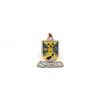 Lambda Theta Phi Shield Lapel Pin