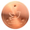Bird Bath Copper Disk, 99.9% Pure Copper Bird Bath Cleaning