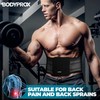 Bodyprox Breathable Back Brace, Back Support Brace for Men and