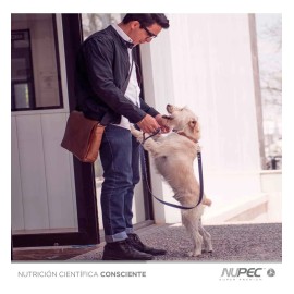 Premios Nupec Trainning Treats 180g, Adiestramiento Canino