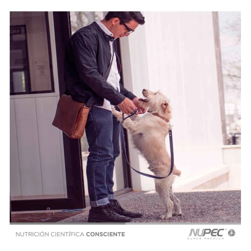 Premios Nupec Trainning Treats 180g, Adiestramiento Canino