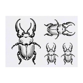 Azeeda 4 x 'Asiatischer Nashornkäfer' Temporäre Tattoos - Wasserfest, Hautfreundlich & Ungiftig · Transfers in Verschiedenen Größen (TO00071278)