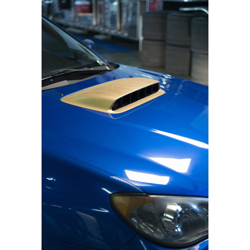 Rust-Oleum 297339 Peel Peelable Coating, Metallic Gold Flake, 10 Ounce