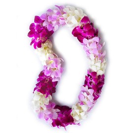 Fresh Hawaiian Lei - Double Orchid Lei (Tri Color Fade)