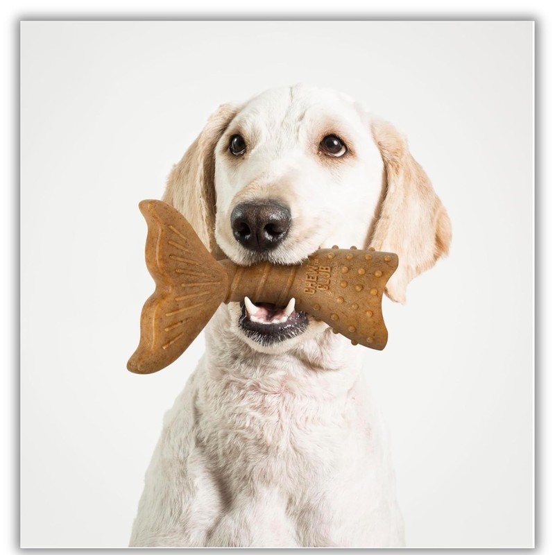 Power Bone Pet Chew Toy for Dogs - Durable, Non