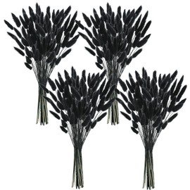 Phliofd 480 Pcs Bunny Tails Dried Flowers, Natural Dried Bunny Tails Grass Dried Lagurus Ovatus Rabbit Tail Grass for Flowers Arrangements DIY Craft Wedding Party Home Table Decor (Black)