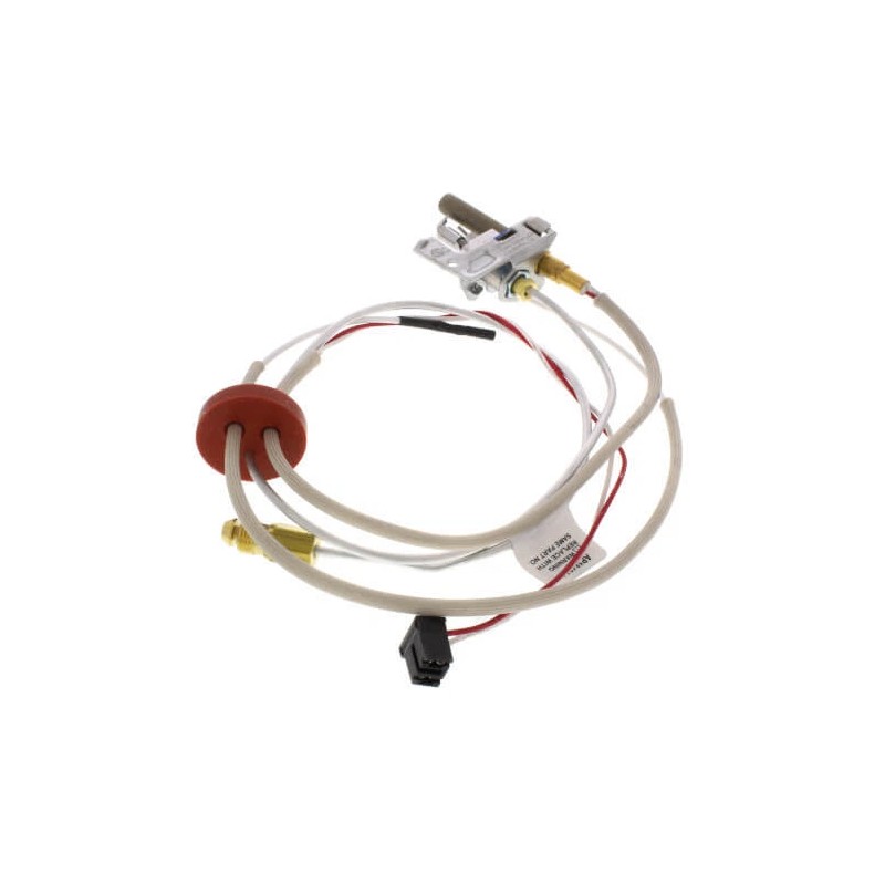Rheem-Ruud SP21058 Pilot Assembly Replacement Kit