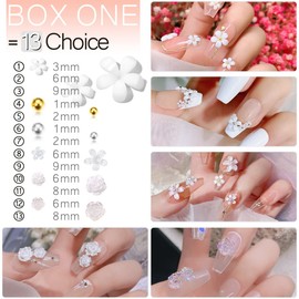 qiipii 2400pcs 3D Nail Art Kit Flower Nail Charms Resin Butterfly Bear Bow Charms White/Aurora Rose Golden Silver Metal Caviar Beads Half Pearls Rhinestones for Acrylic Nails Face Eyes Makeup Crafts