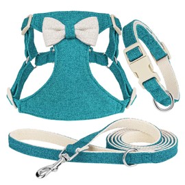 Didog Small Dog Harness Collar and Leash Set, Adjustable Lightweight Vest Harness with Cotton Soft Mesh for Small Dogs, Cats (Blue, XS)