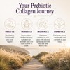 Prebiotic Collagen Powder - 420g Hydrolysed Collagen Peptides & Prebiotics