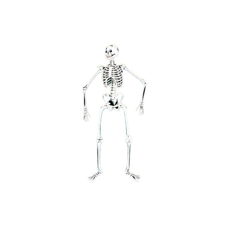 Skeleton 55''Glow Cardboard
