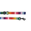 LUVYA Modern Rainbow Print Neoprene Dog Leash for Pets Small