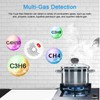 WiFi Gas Alarm Plug in Combustible Gas Detector for Tuya
