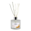 MAISON BERGER AROMA Energy Sparkling Zest Scented Bouquet