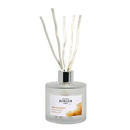 MAISON BERGER AROMA Energy Sparkling Zest Scented Bouquet