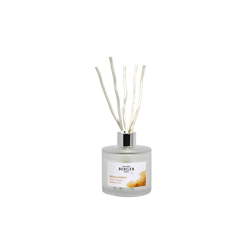 MAISON BERGER AROMA Energy Sparkling Zest Scented Bouquet