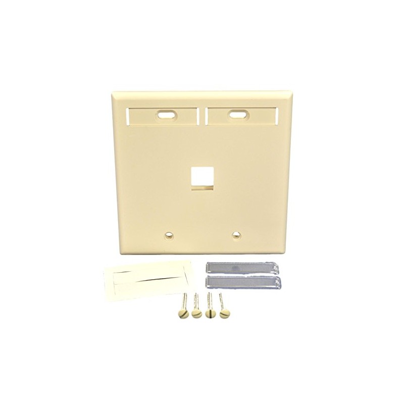 Leviton 1-Port Dual Gang QuickPort Wallplate with ID Windows, 42080-1TP,