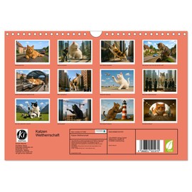 Cat world domination, US-Version (Wall Calendar 2026 DIN A4 Landscape), CALVENDO 12 Month Wall Calendar