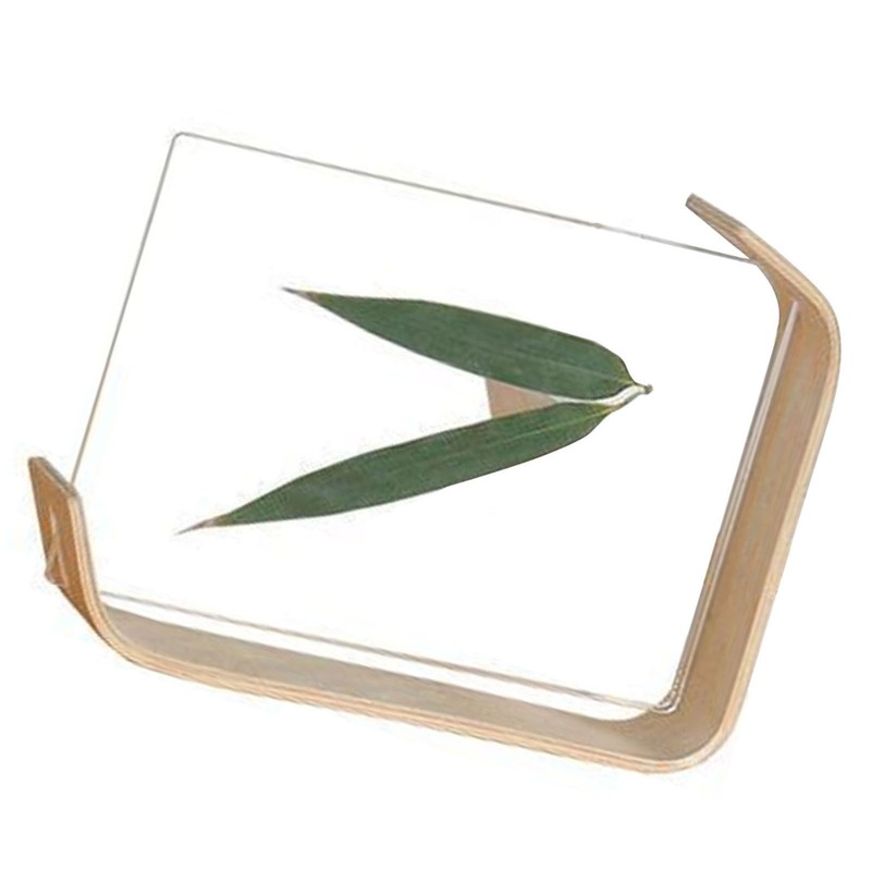 Desktop Plant Specimen Frame Wooden Acrylic Simple Modern Photo Frame
